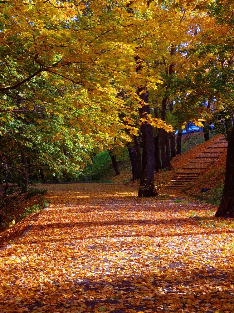 Photograph by Наталья Сазонова