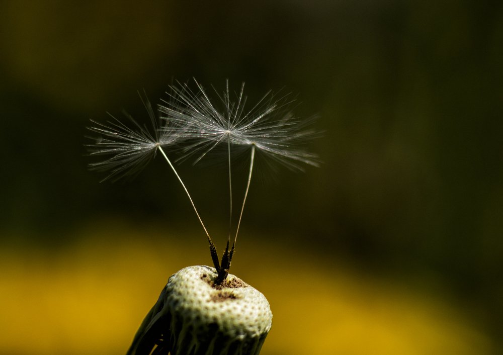 Photograph by Фёдор Никитин