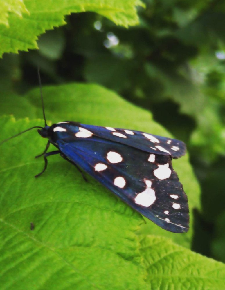 Photograph by Ксения Туваева