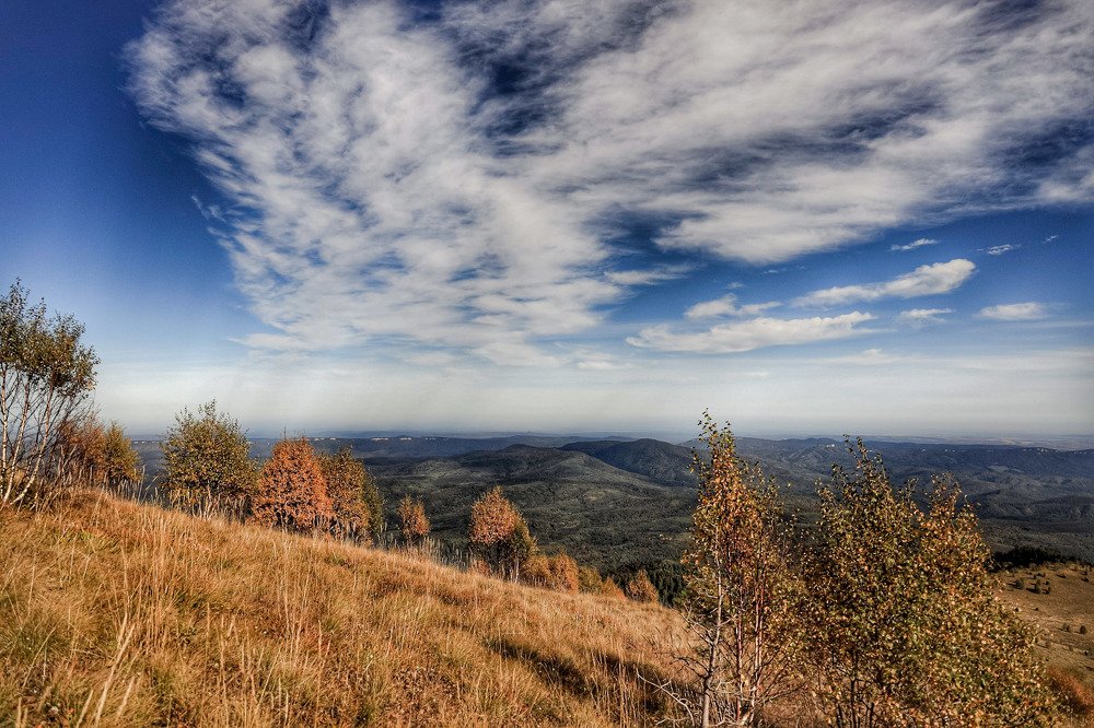Photograph by Владимир Кульбит
