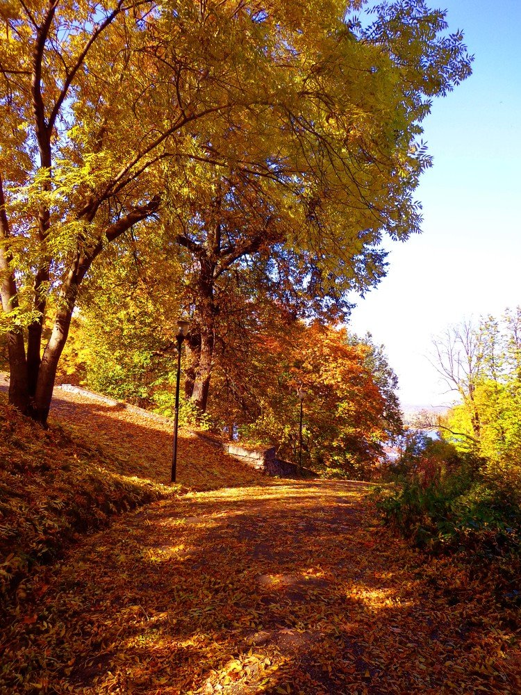 Photograph by Наталья Сазонова