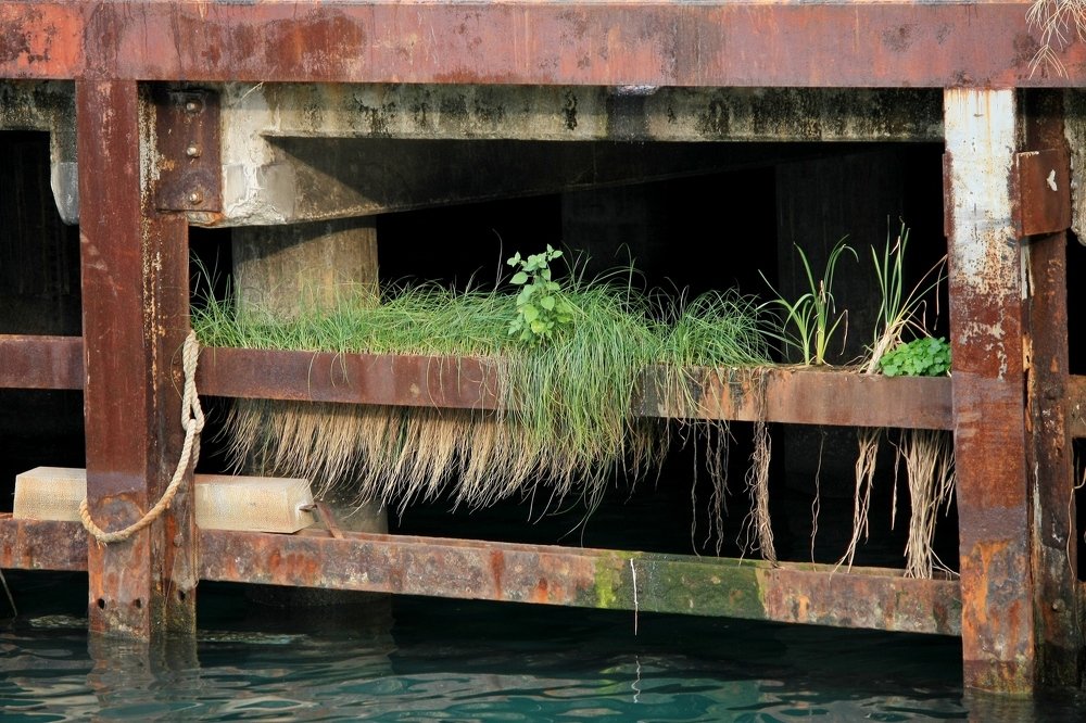 Photograph by Сергей Христинич