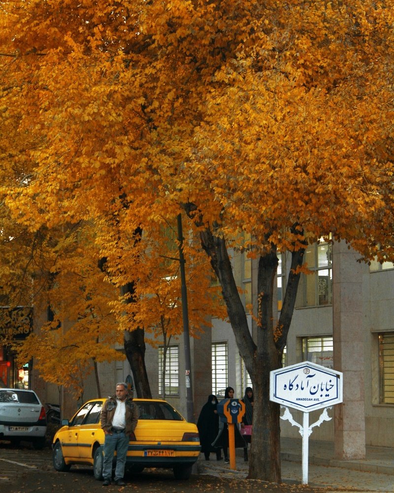 Photograph by Alireza Zaghian