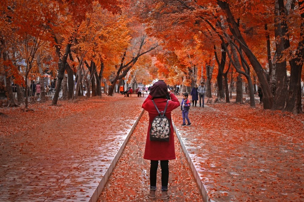 Photograph by Alireza Zaghian