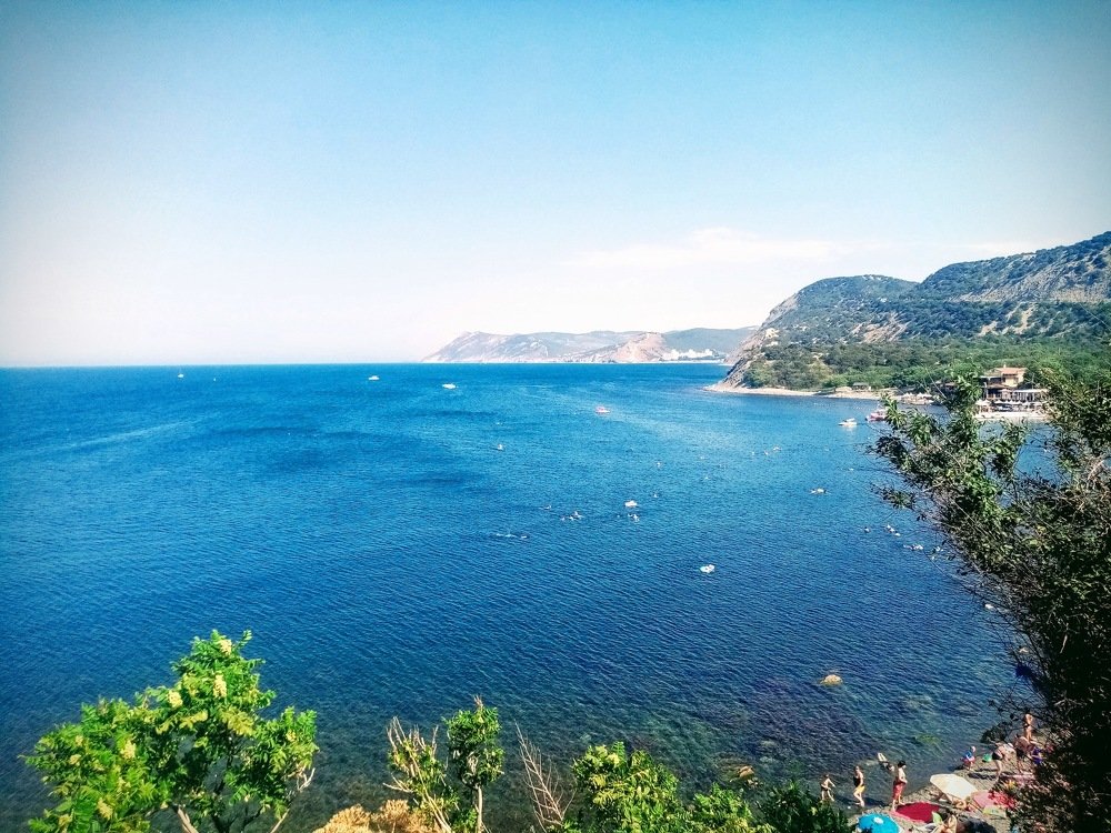 Photo #5078869