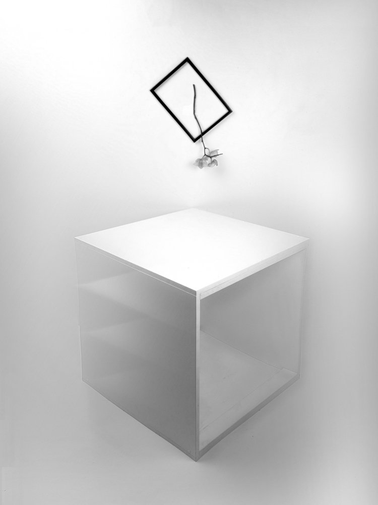 Photograph by Алёна Храмова