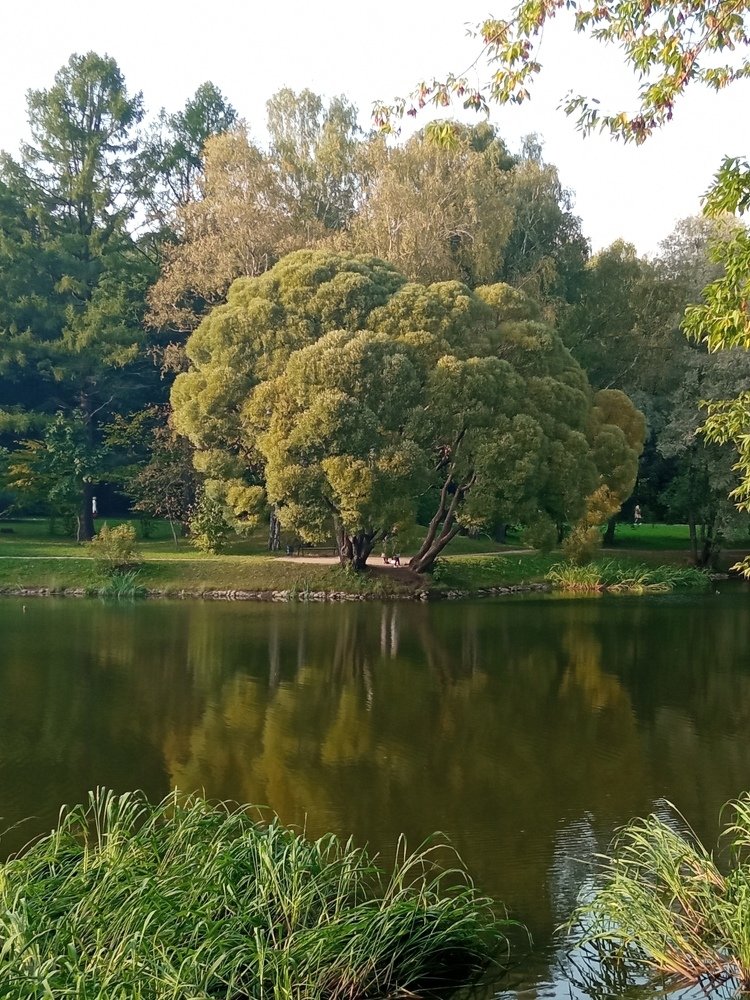 Photograph by Светлана Куприна