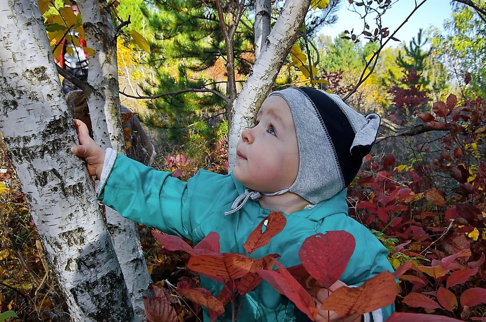 Photograph by Анатолий Святой