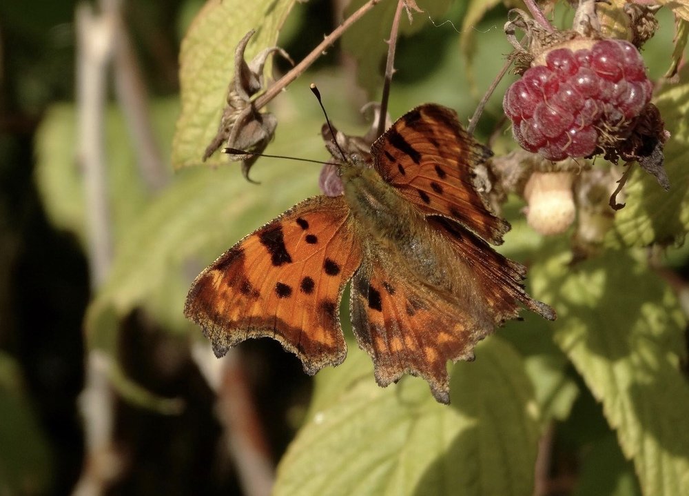 Photograph by Sylwia Wirkowska