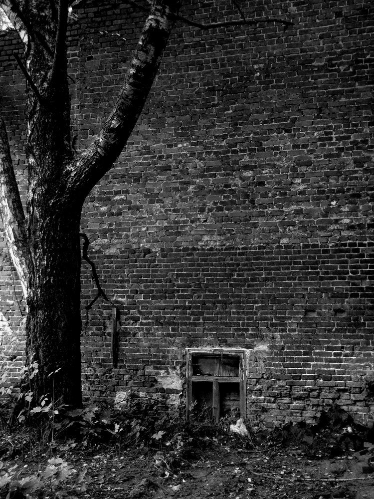 Photograph by Наталья Сазонова