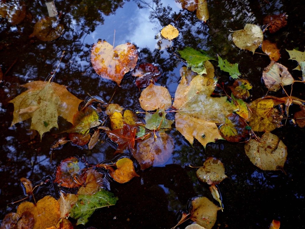 Photograph by Наталья Сазонова