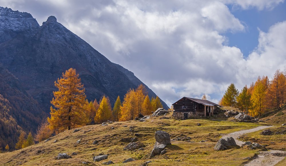 Photograph by Svetlana Rizzo