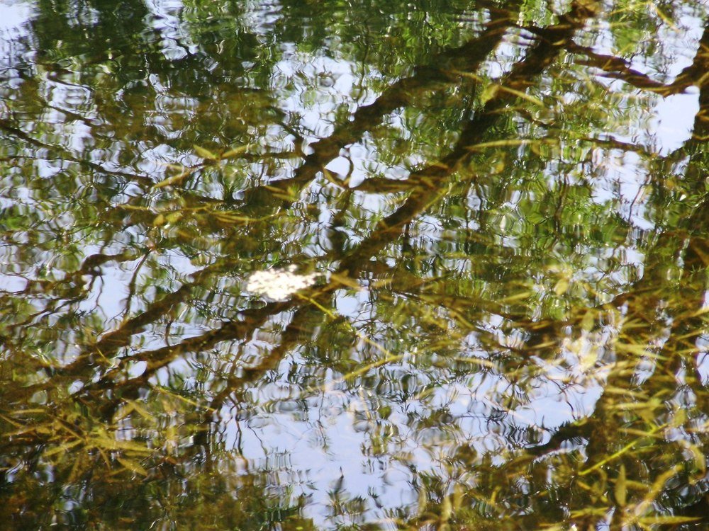 Photograph by Наталья Сазонова