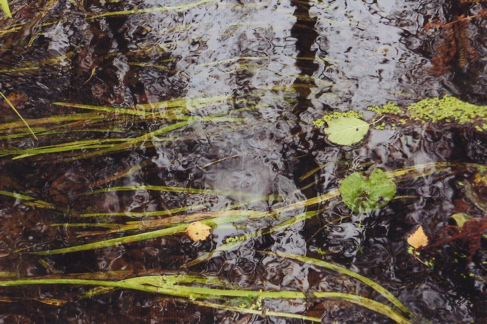 Photograph by Наталья Сазонова