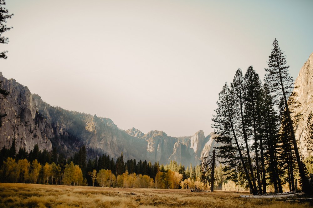 Photograph by Оксана Пастушак