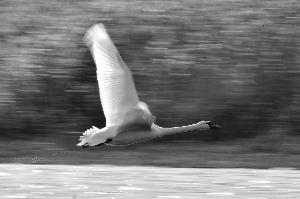 Photograph by Вячеслав Ладанов