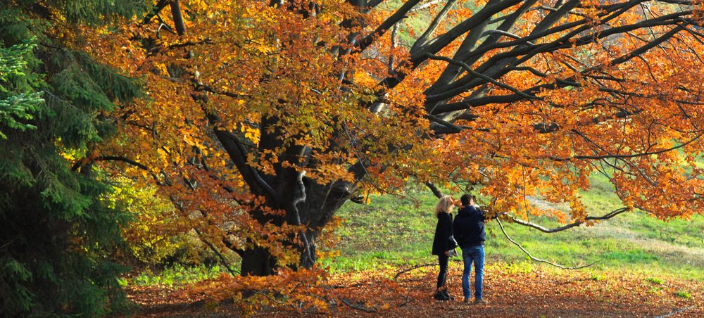 Фотография автора Олег Смирнов