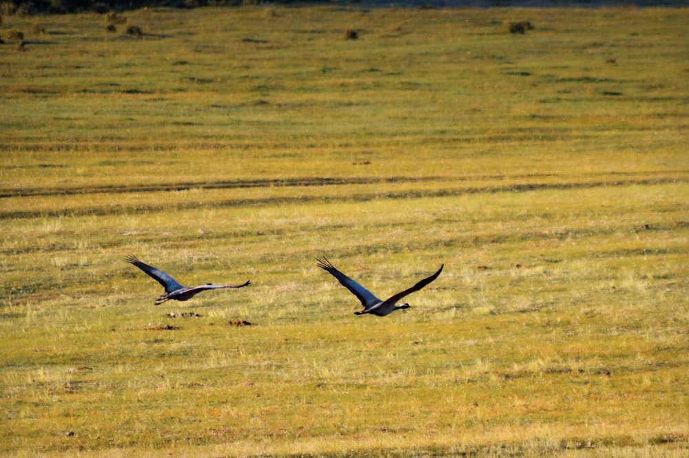 Photograph by Мешков Кирилл