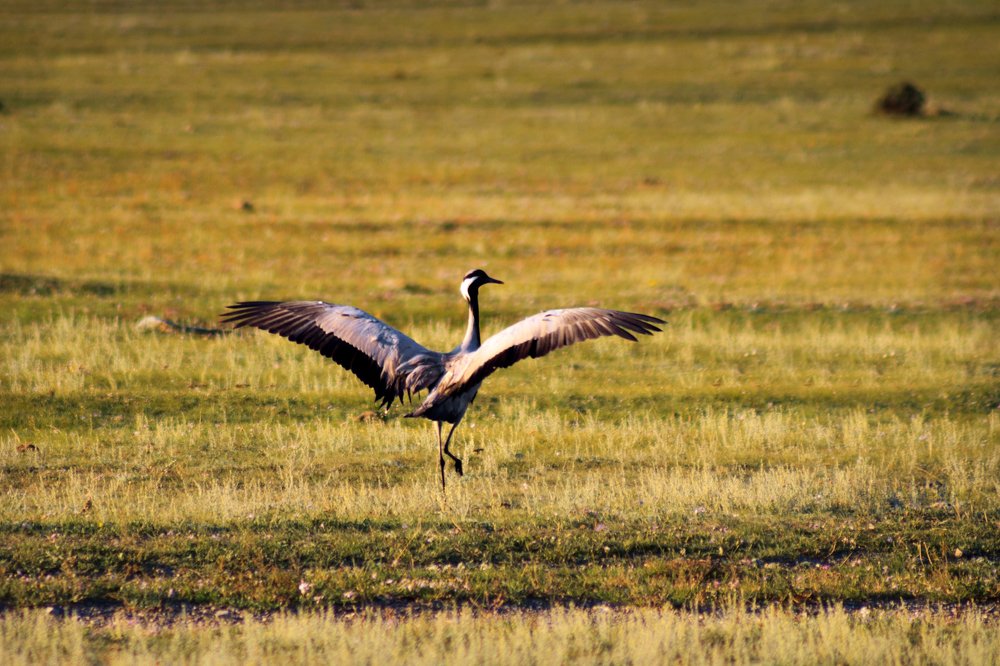 Photograph by Мешков Кирилл