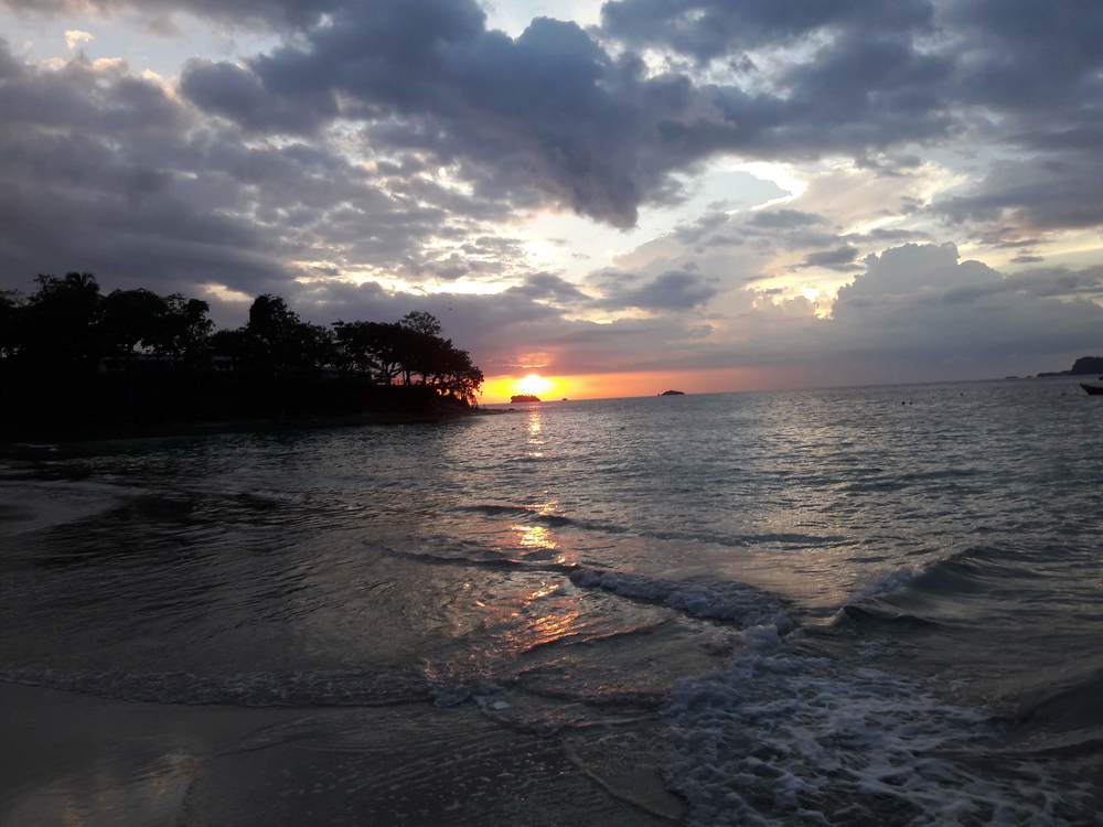 Photo #5079180