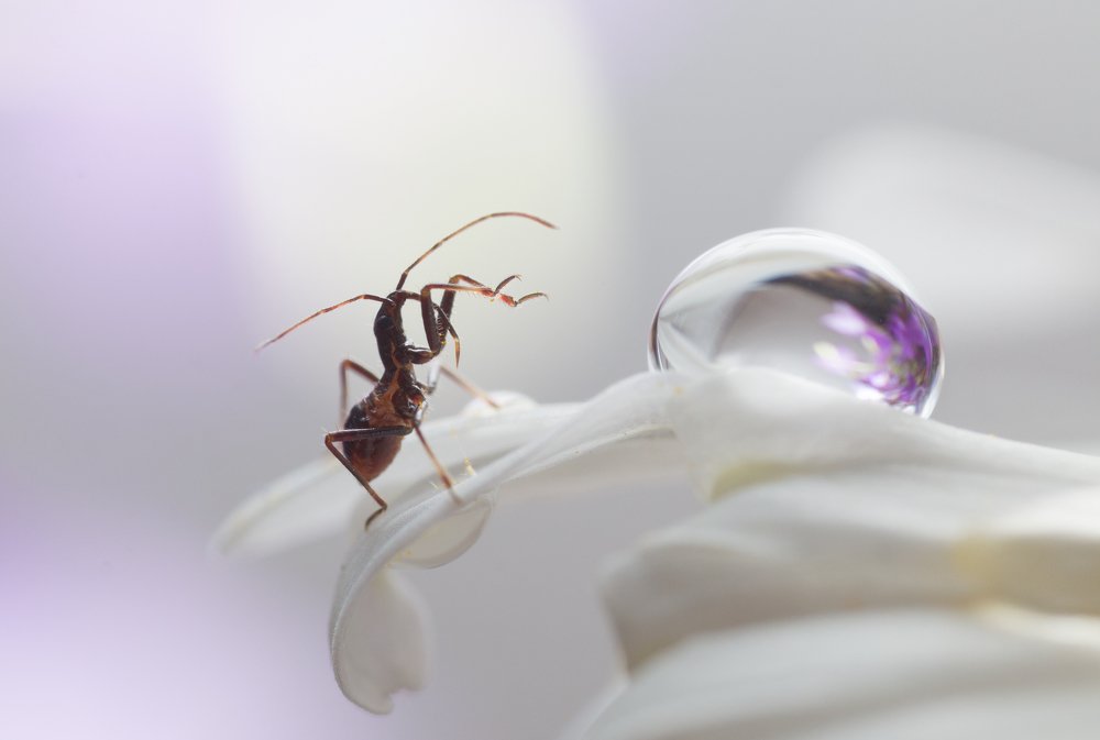 Photograph by Людмила Гудина