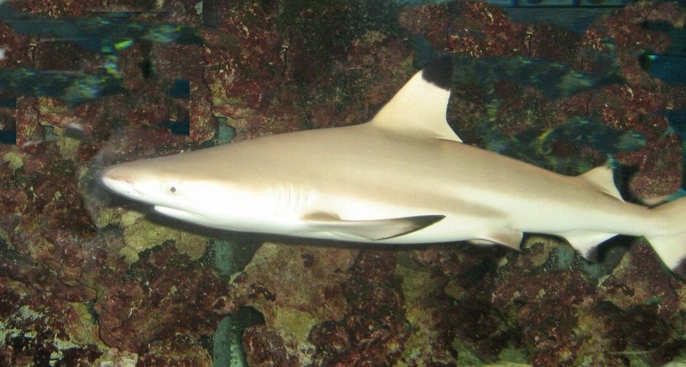 Photograph by Юрий Тихонов