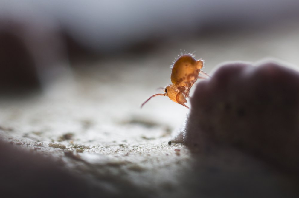 Photograph by Людмила Гудина