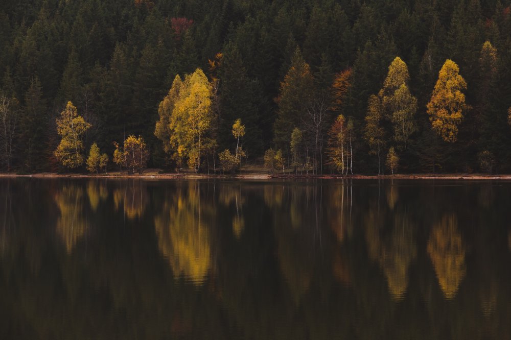 Photograph by Comșa Bogdan