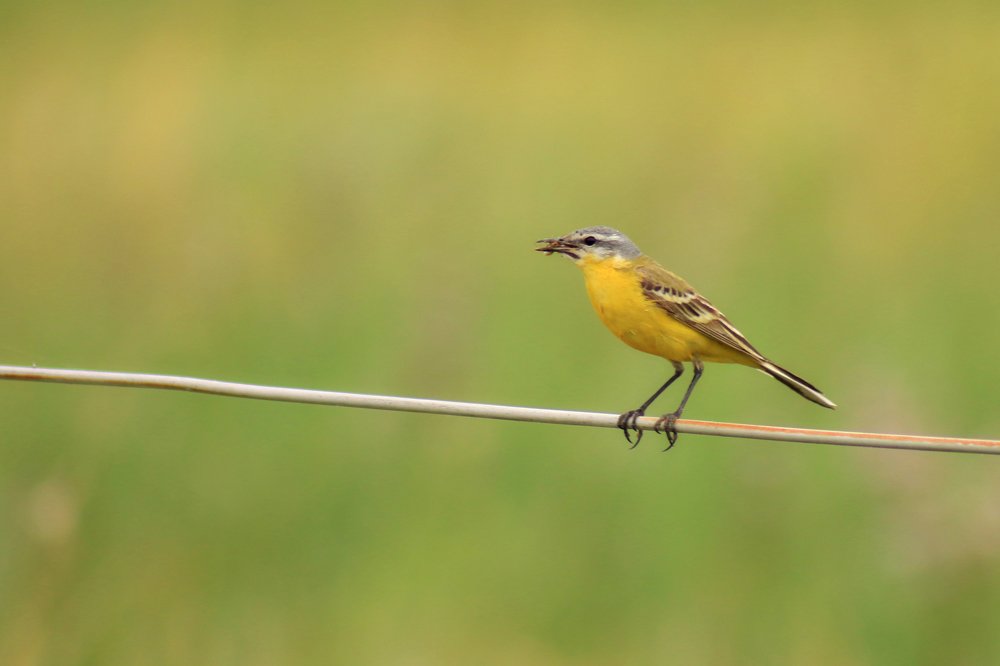 Photograph by Мешков Кирилл