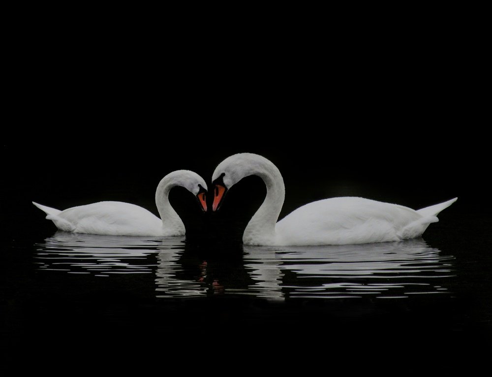 Photograph by Никита Казаков