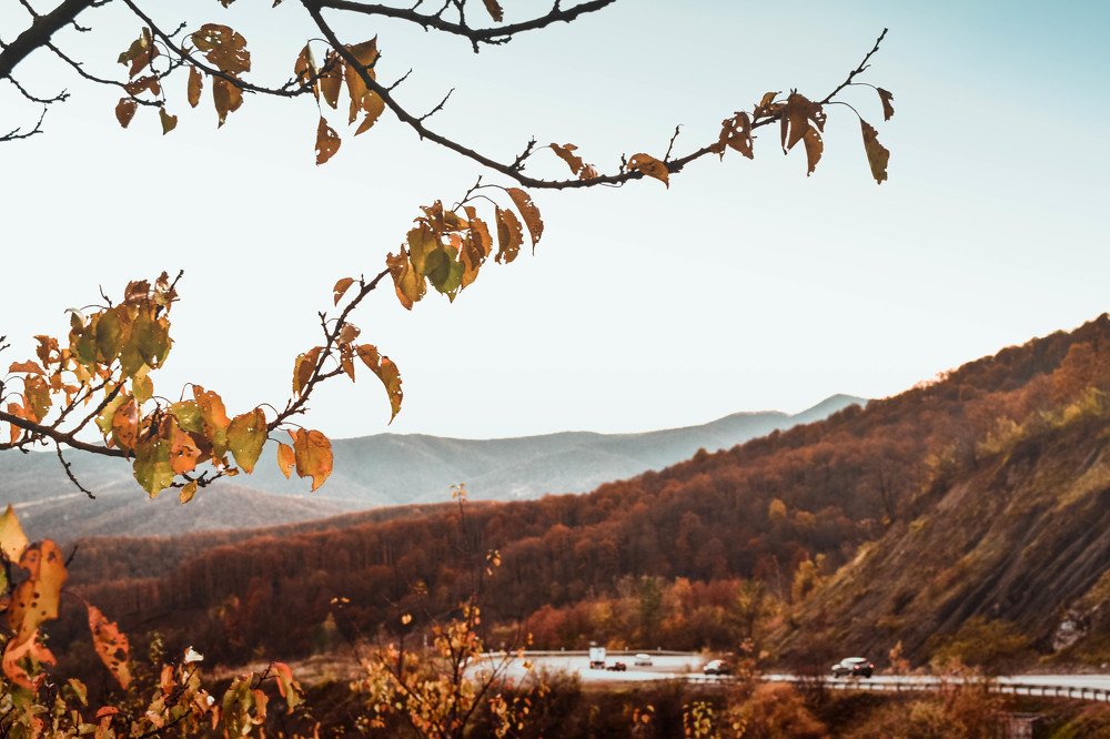 Photograph by Алена Жилина