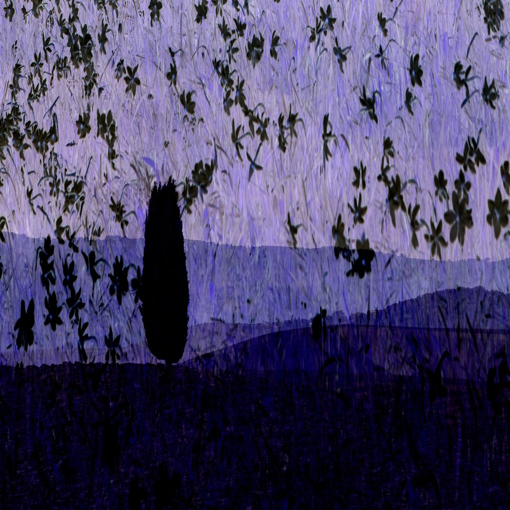 Photograph by Bostjan