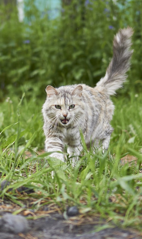 Фотография автора Никита Батищев