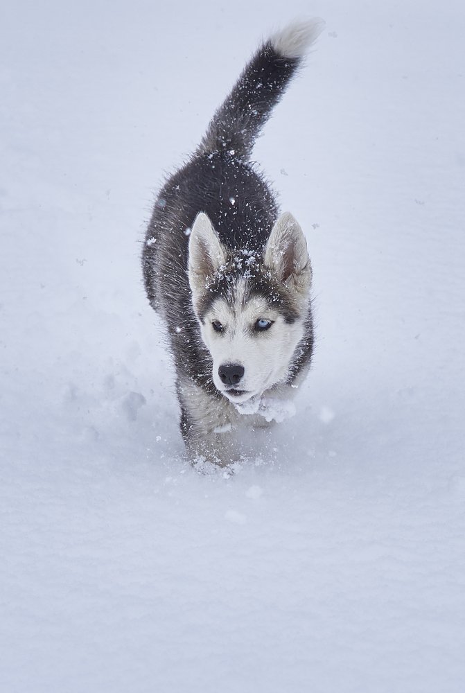 Фотография автора Никита Батищев