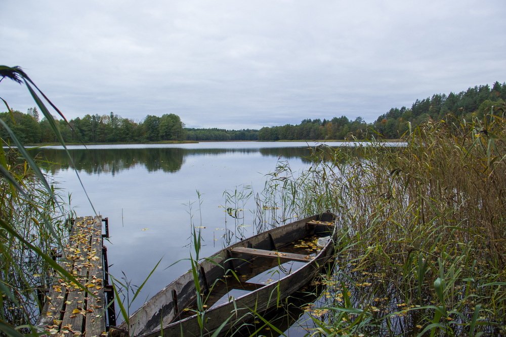 осенняя тишина