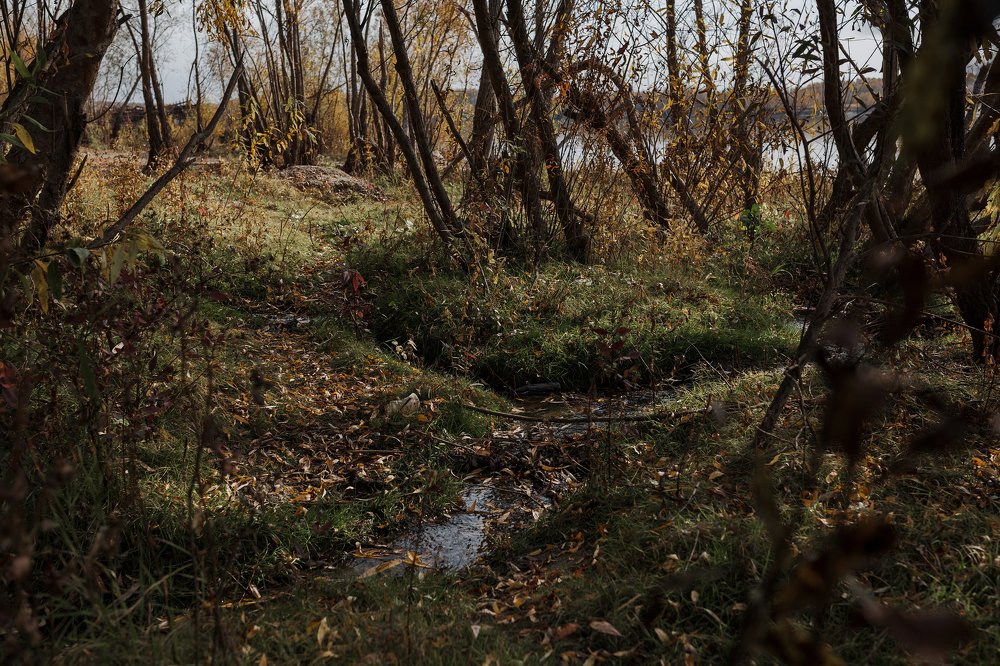 Photograph by Андрей Бодров