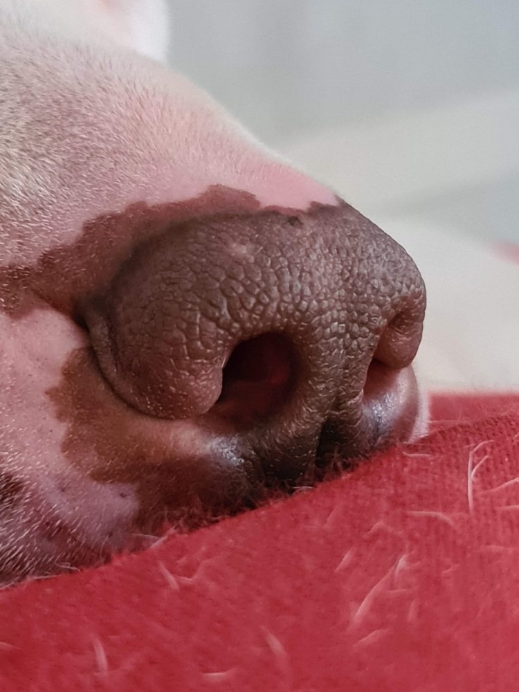 Photograph by Красуля