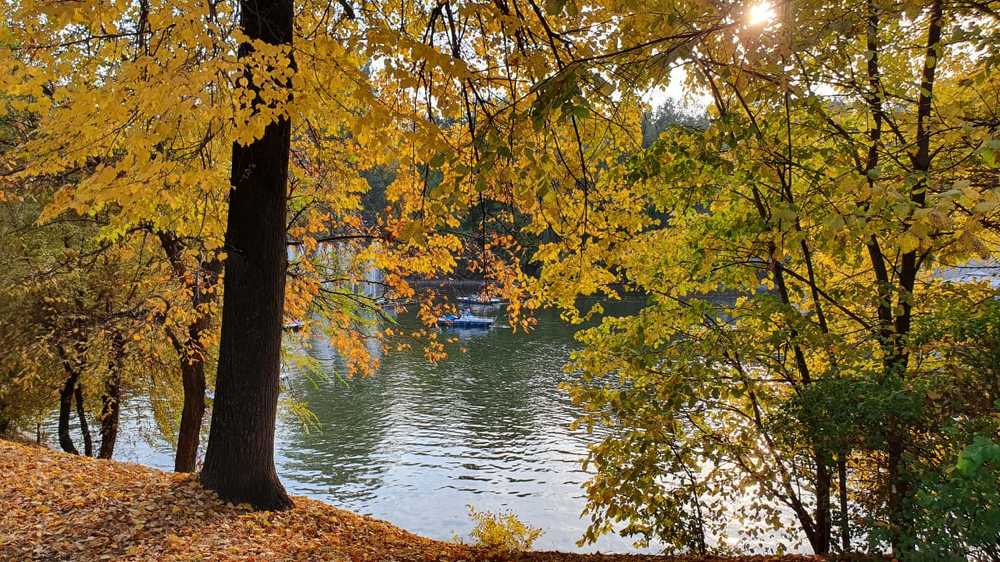 Song of Autumn