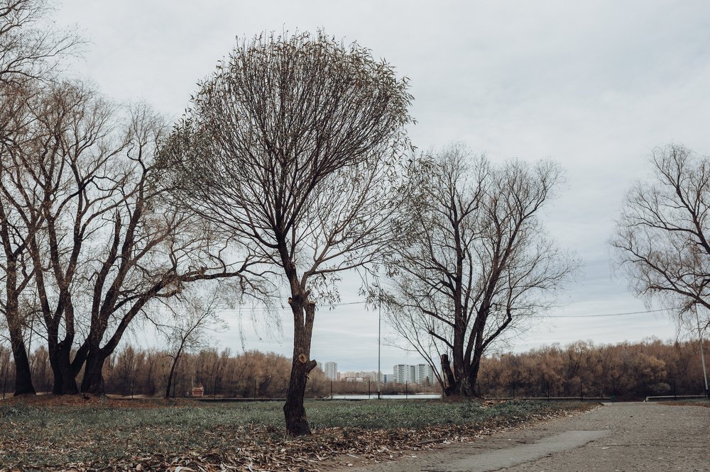 Photograph by Андрей Бодров