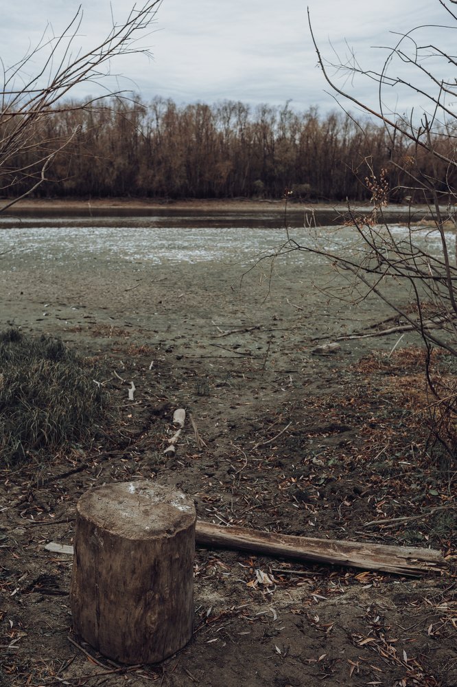 Photograph by Андрей Бодров