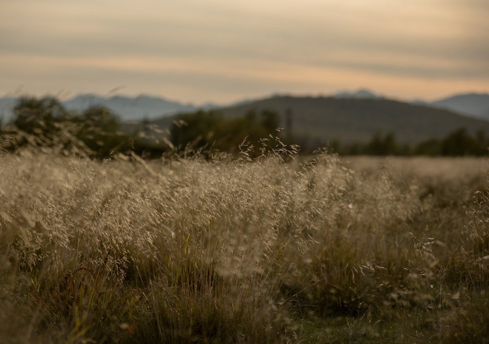 Photograph by Виктория Денисенко