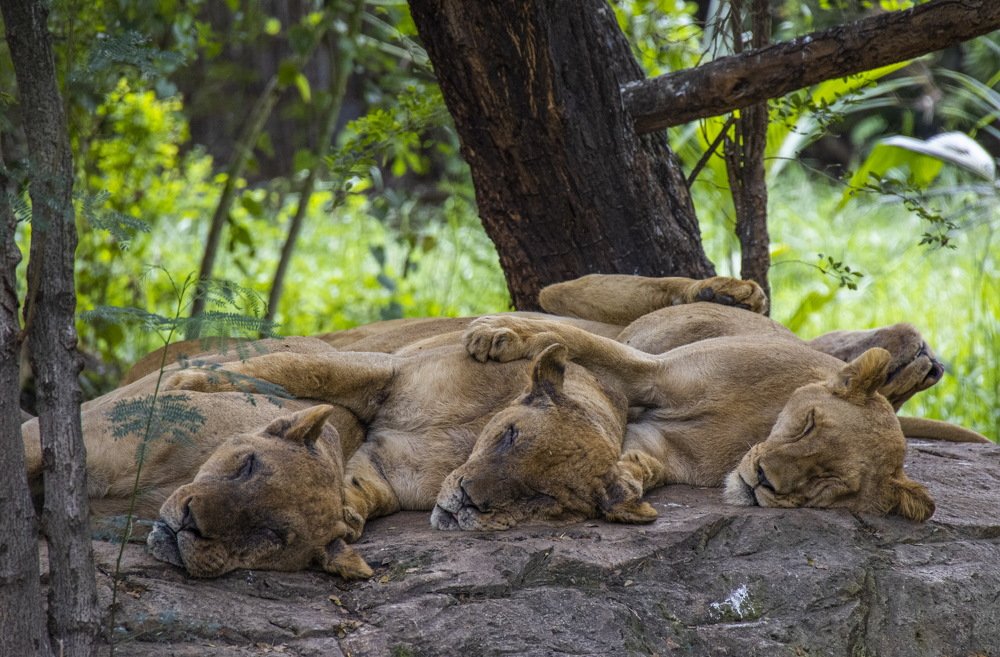 Photograph by Dem Kerrigan