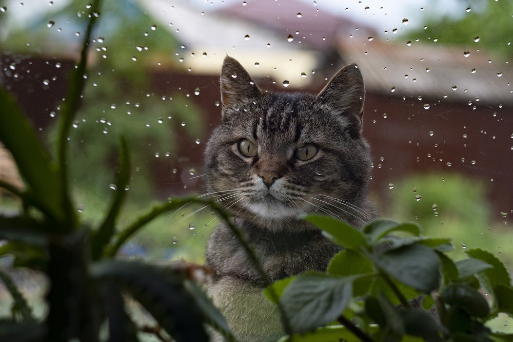 Photograph by Станислав Федашов