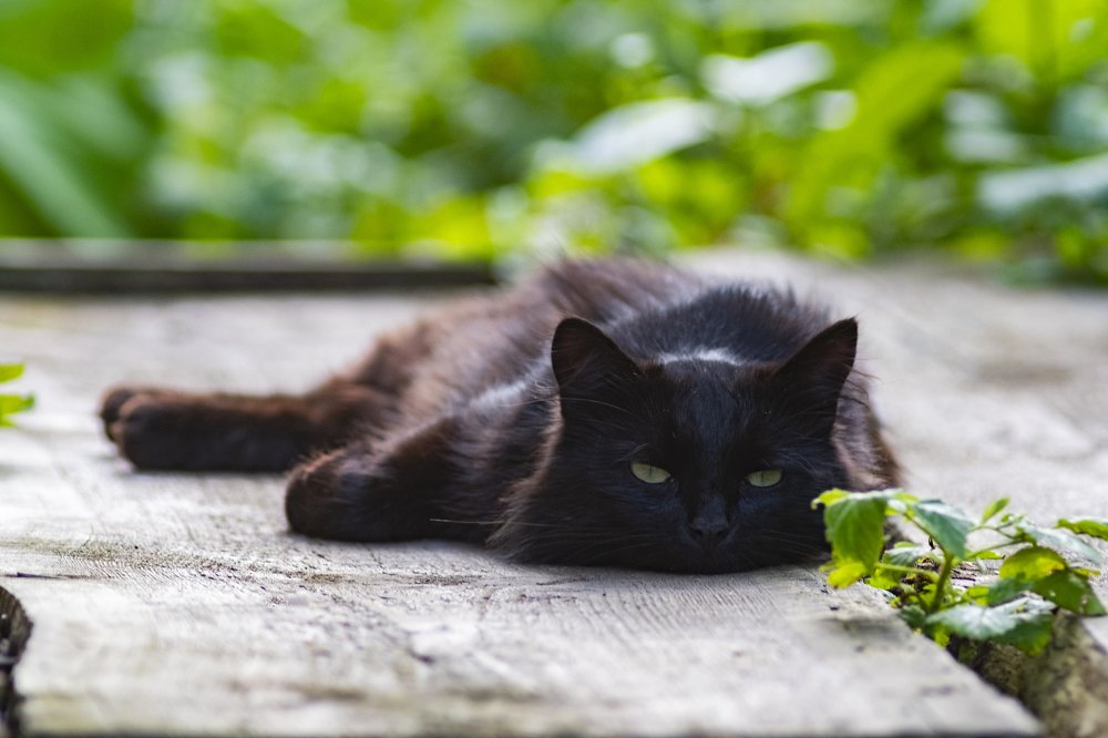 Photograph by Станислав Федашов