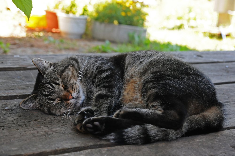 Photograph by Станислав Федашов