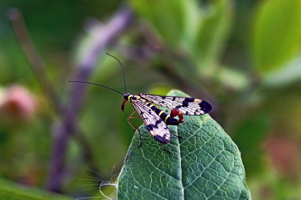 Photograph by Александр Бугаенко