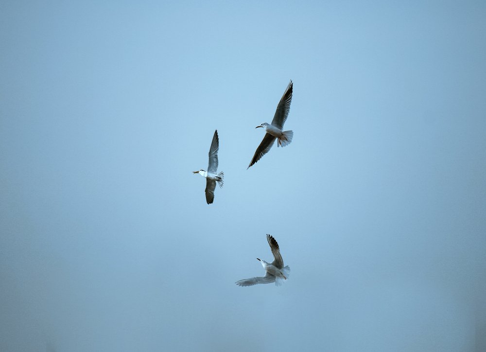 Photograph by Morteza Ghanbari