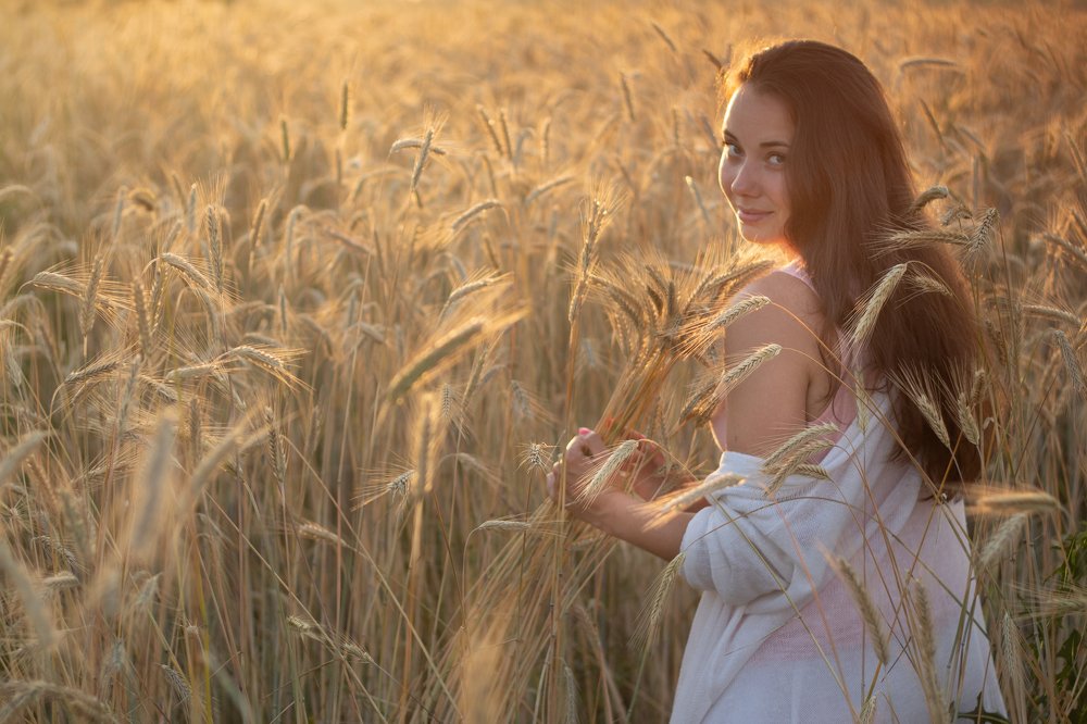 Fields of gold