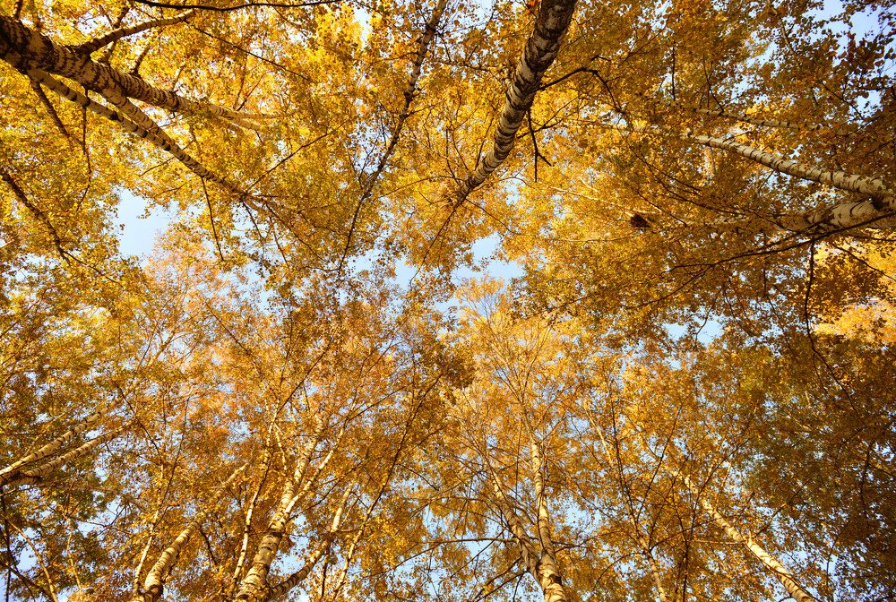 Photograph by Сергей Балухта