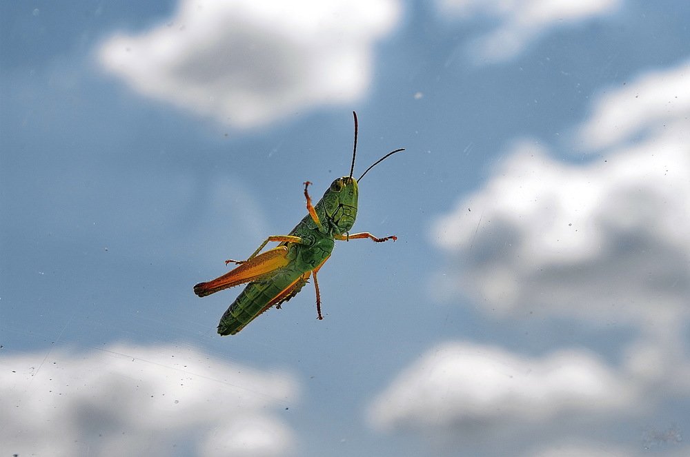 Photograph by Анатолий Святой